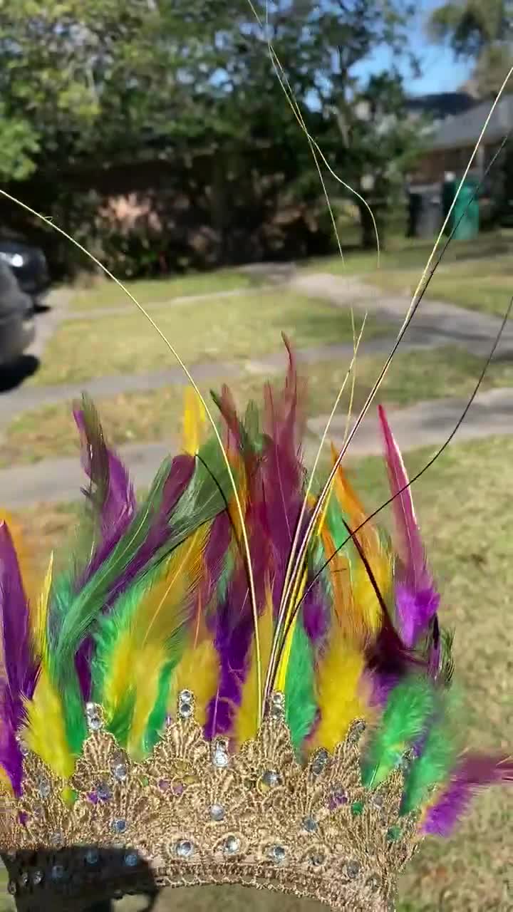 Mardi Gras Prime Ostrich Plumes Feather Carnival Headdress Showgirl Gold  Green and Purple -  Israel