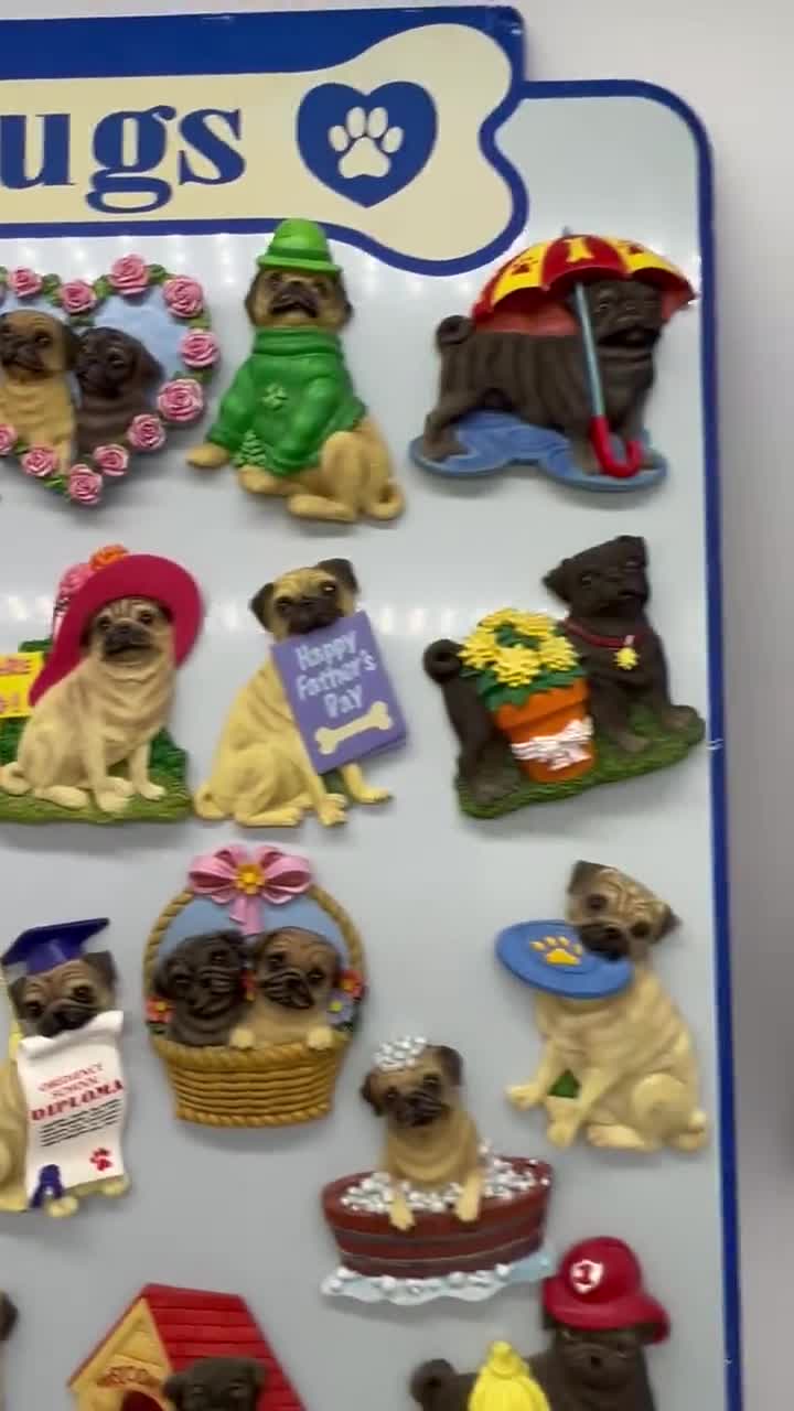 23 WILLABEE & WARD PUGS MAGNETS WITH DISPLEY factory BOARD