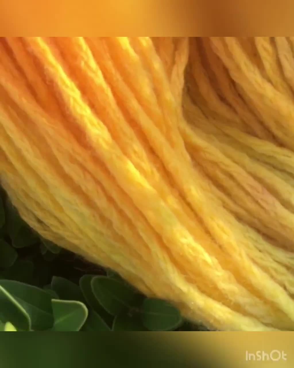 Merino Wool Yarn Bundle, Naturally Dyed