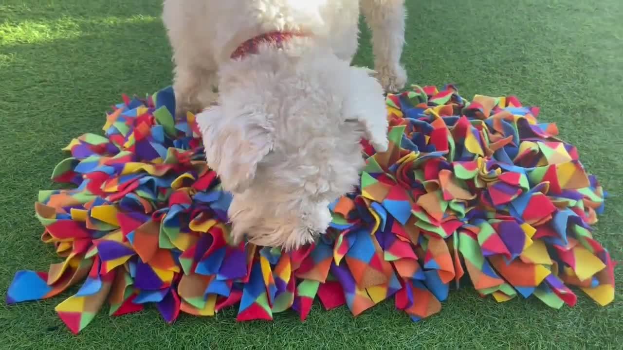 Extra Large 60x60cm Snuffle Mat Fun Enrichment Activity Dog Puzzle