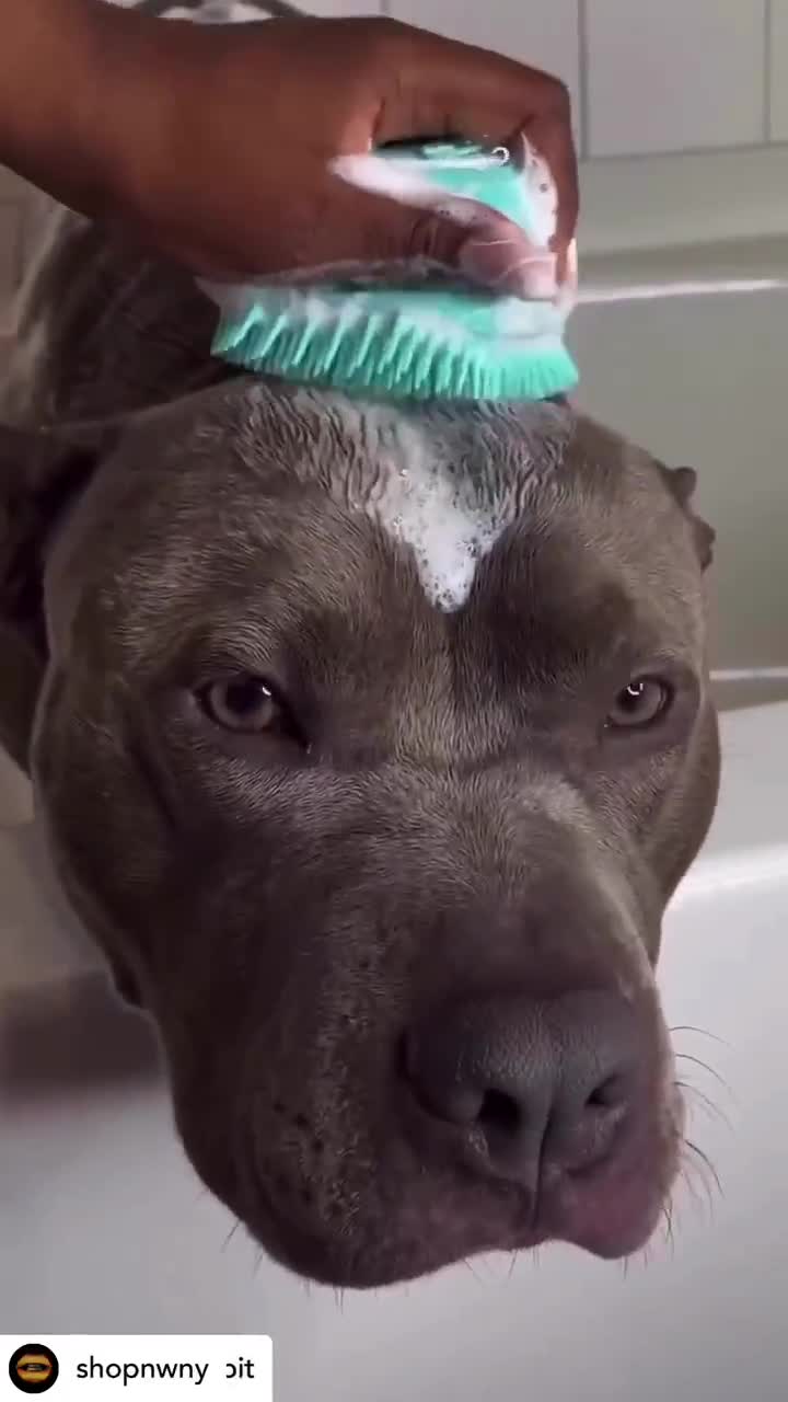JLVAUVT dog bath brush - dog shampoo brush dog soap scrubber for bath  silicone dog wash brush