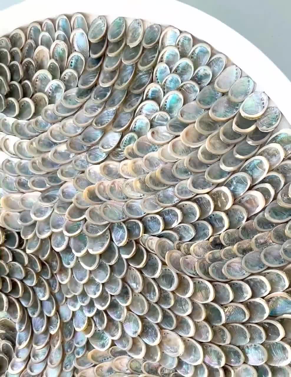 Custom Seashell Wall Art Mosaic Unique Sea Shell Decor-beach Decor
