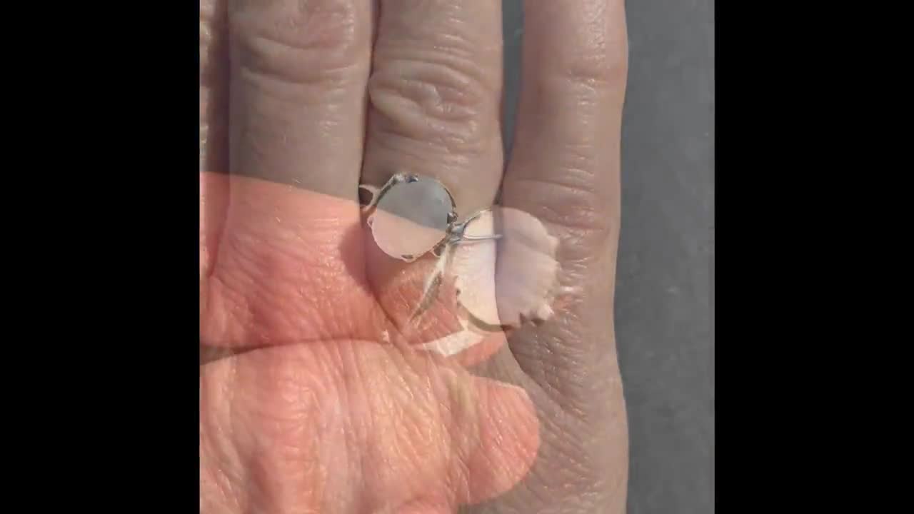 Moonstone Ring - Faceted Moonstone Ring - Rainbow Moonstone