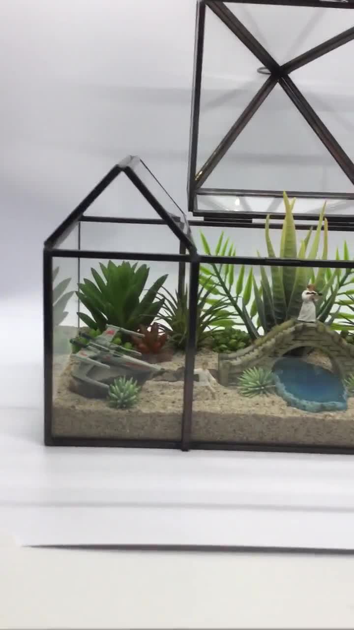 DIY Star Wars Terrarium Succulent Garden