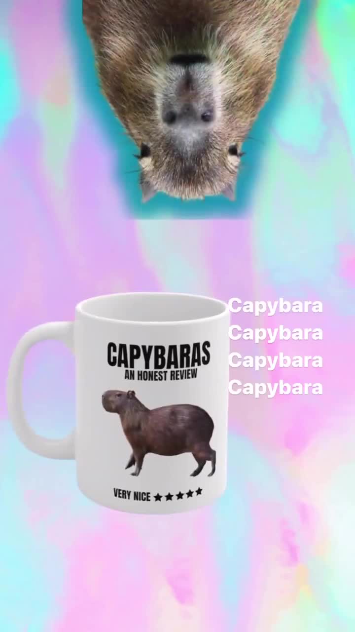 Waschbär reitet einen Capybara Go On Loyal Steed Meme Becher eine