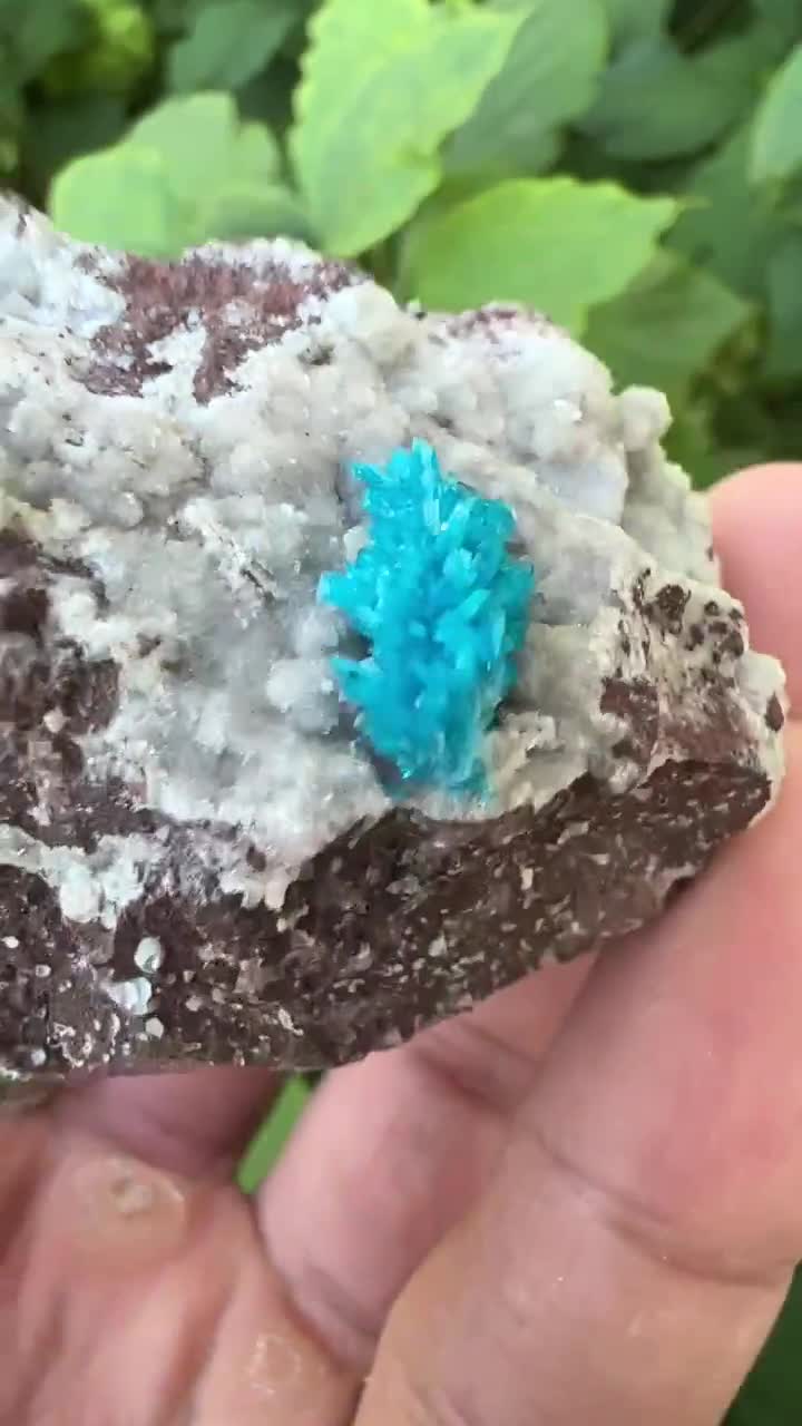 2.3