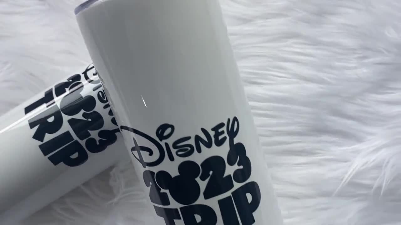 Disney Autograph 20oz Tumbler - Disney Tumbler with Lid and Straw - Gi –  AvaLeigh Reese