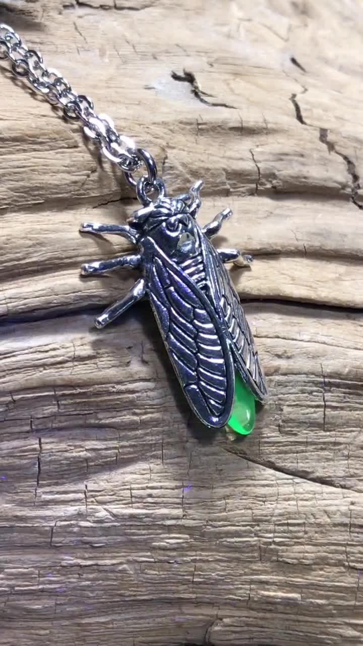 La Luz - Cicada [OFFICIAL VIDEO] 