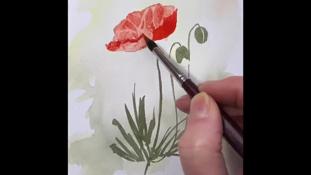 Paint Your Own Perfect Poppies Session Tutorial Recording - Easely Does It