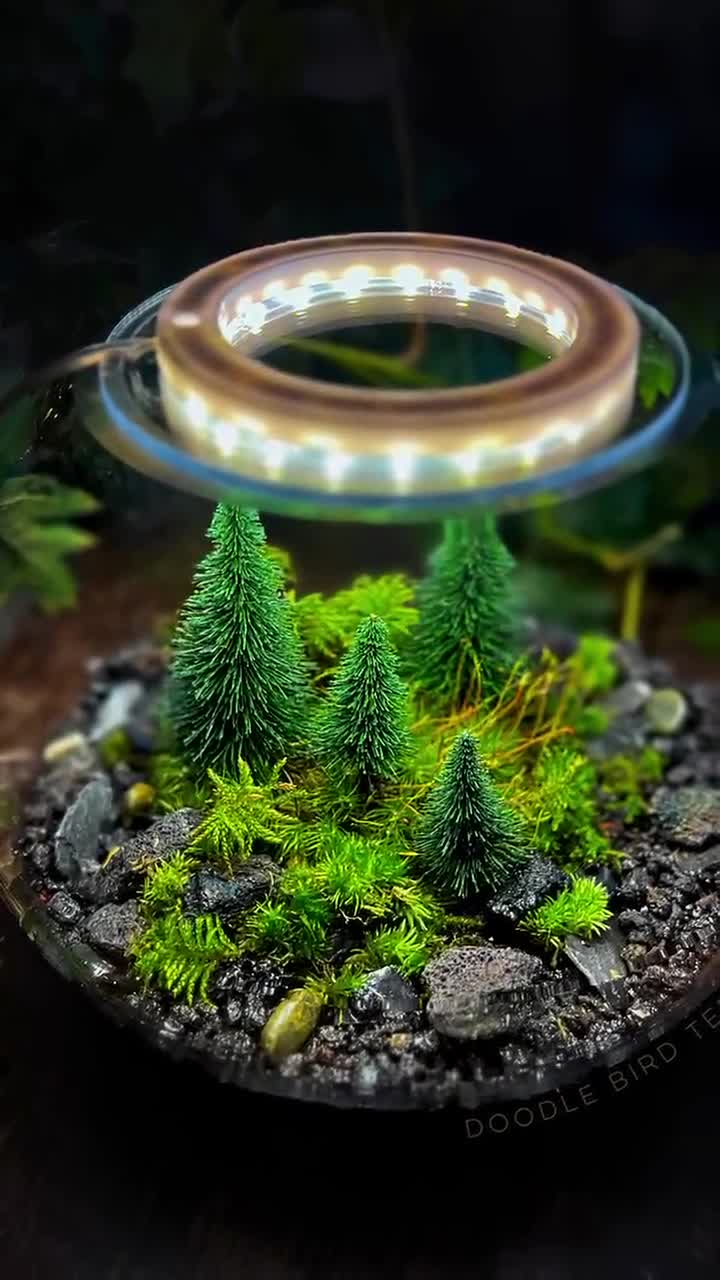 🌳 New Cylinder Full spectrum - Moss Terrarium LED Light