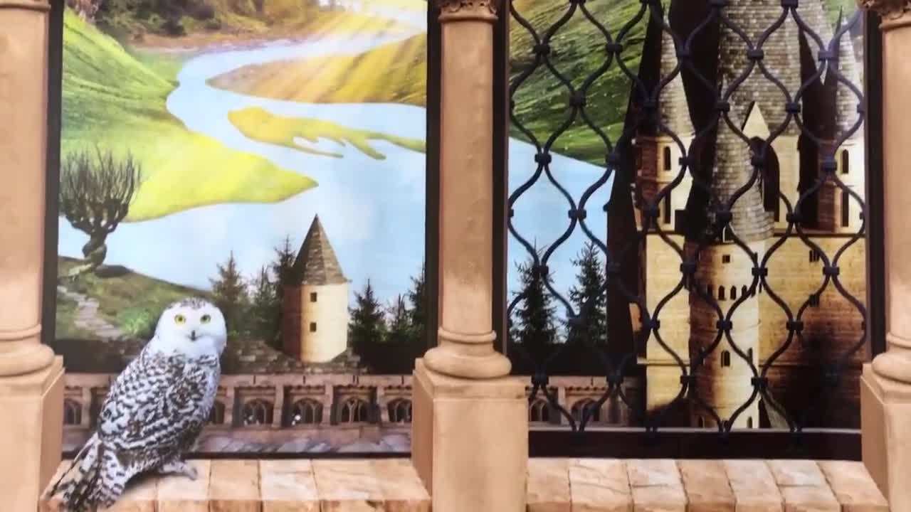 Ruinas de tres castillos cabeza condado corcho Irlanda torreta  imágenes de stock impresión lienzo papel pintado mural de pared autoadhesivo  despegar y pegar papel tapiz para manualidades caseras calcomanías de pared
