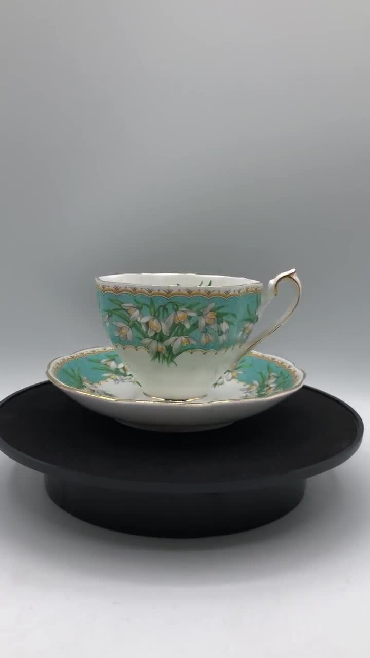 Queen Anne marilyn Tea Cup and Saucer, Fine Bone Chiba, Made in