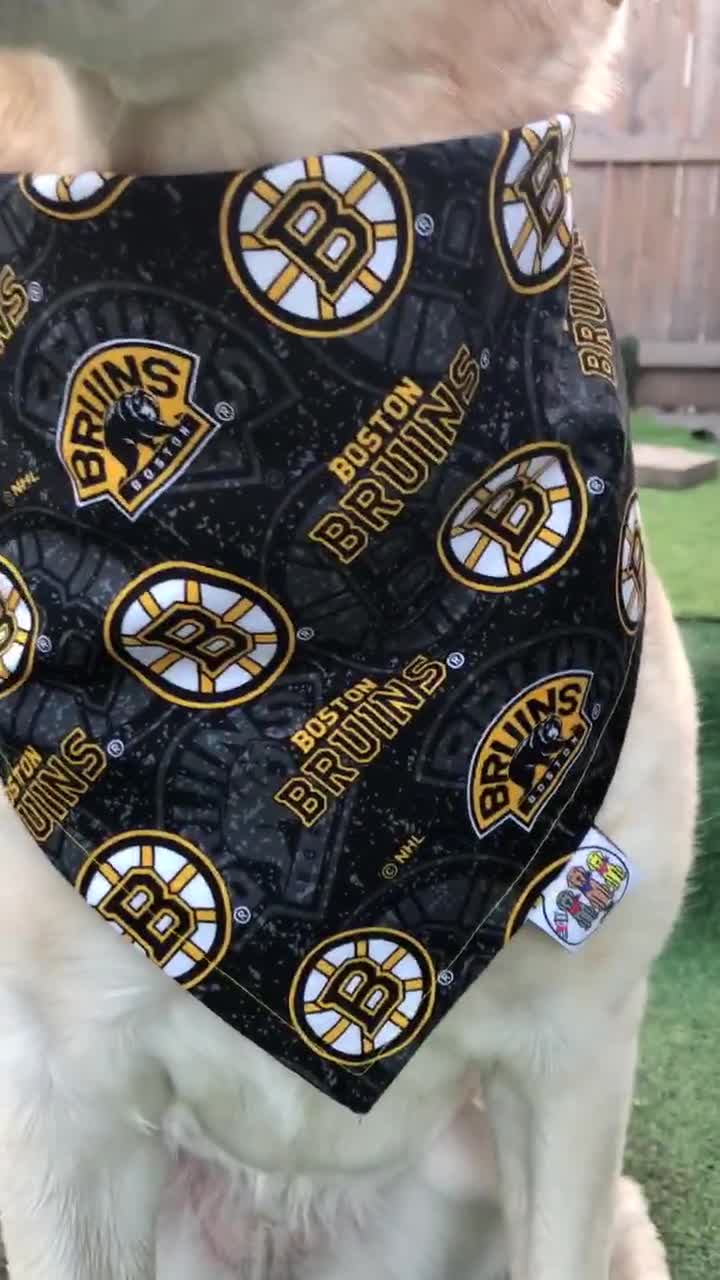 Boston Bruins NHL Dog Sweater