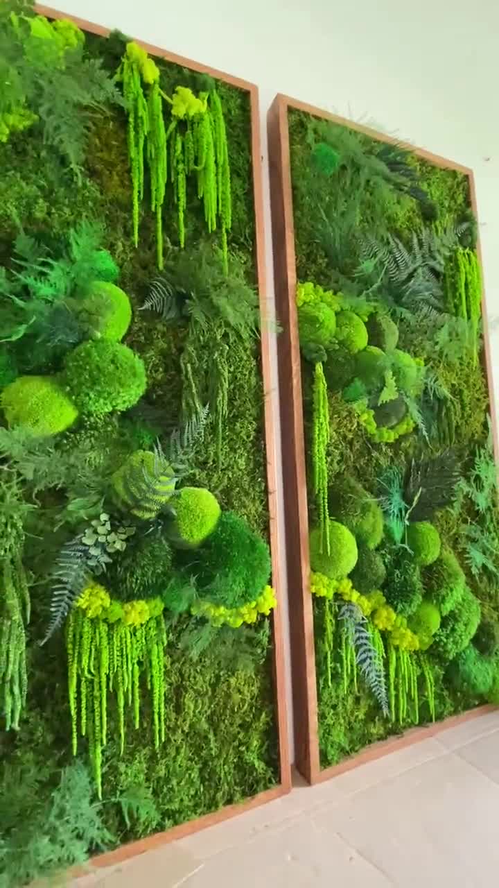  Arte de pared de musgo preservado real con madera natural. No  necesita mantenimiento, arte de pared verde ecológico. Hecho a mano. Escena  del bosque. Amor de la naturaleza con forma redonda