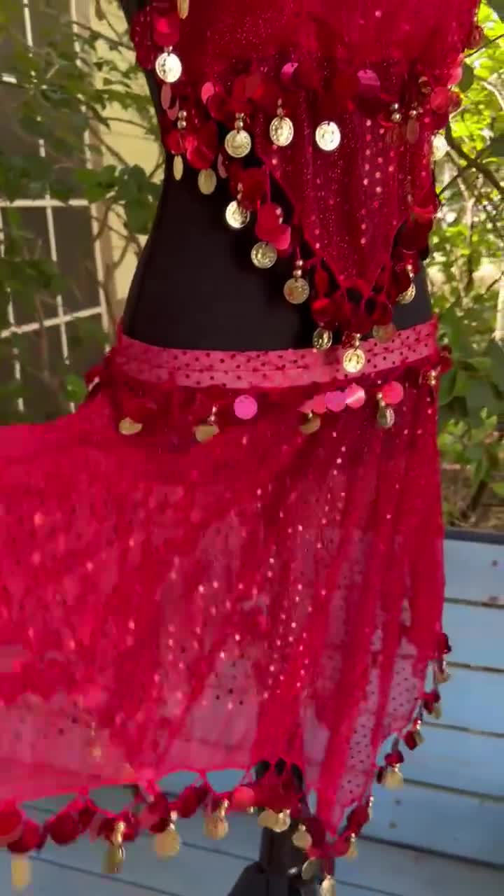 Loloda Women's Belly Dance Sequin Beaded Bra Top Belly Samba Tassels Bra  Dance Wear Costume Red One Size