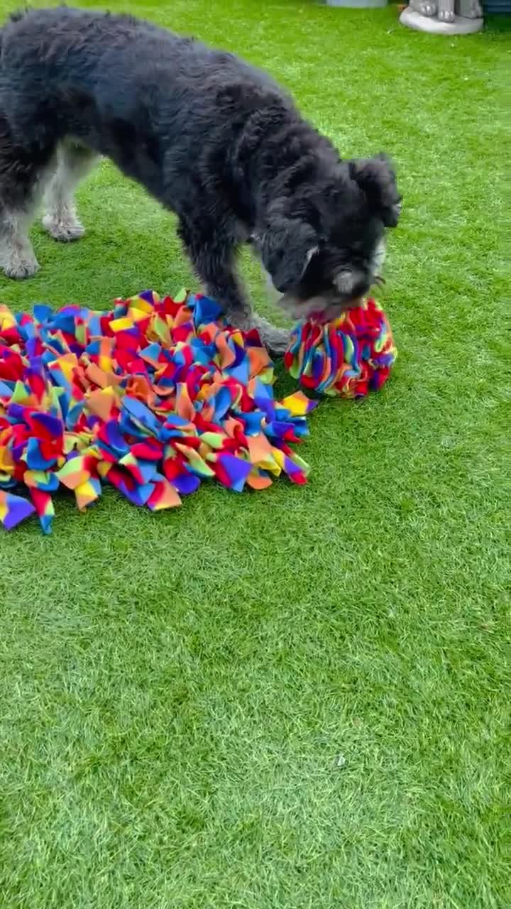 Rompecabezas para perros, juguete interactivo para cachorros de raza  mediana y pequeña, bola dispensadora de golosinas, alimentador lento para