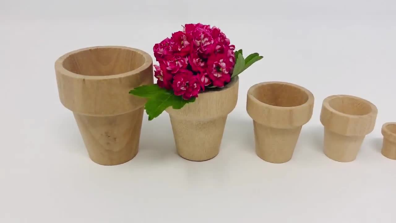 QTÉ 10 pots de fleurs en bois, différentes tailles, pots de jardin,  chapeaux en bois, petit