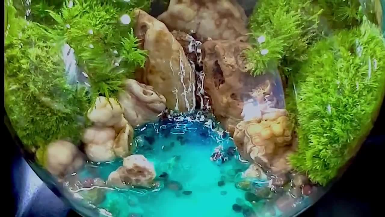 Tropical Springs Terrarium - Handcrafted Miniature Ecosystem - Coastal Garden Decor video poster