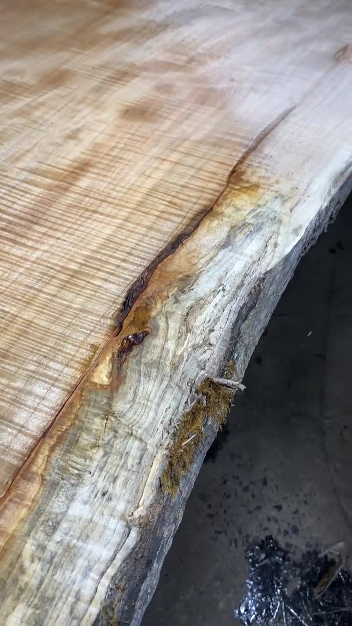 Live Edge Sugar Maple Slab Wood