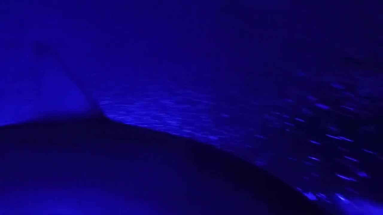 Blue Blob Fishing Light Attractor, Underwater LED, Boats/docks, 7500-30000  Lumens, Waterproof, Ideal Angler Gift 