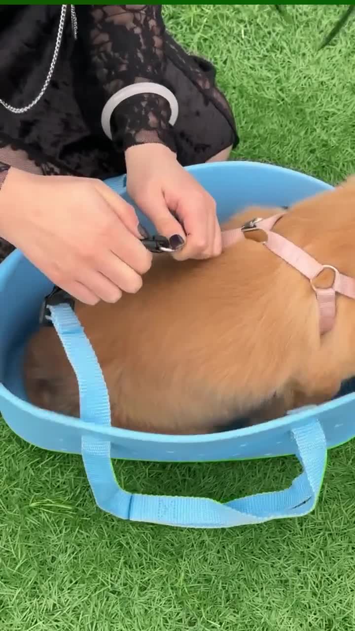 Bolsa grande de EVA con agujeros para dijes: impermeable, unisex, para compras, playa y gimnasio. Bolsa de mano personalizable con correa (dijes no incluidos). video poster