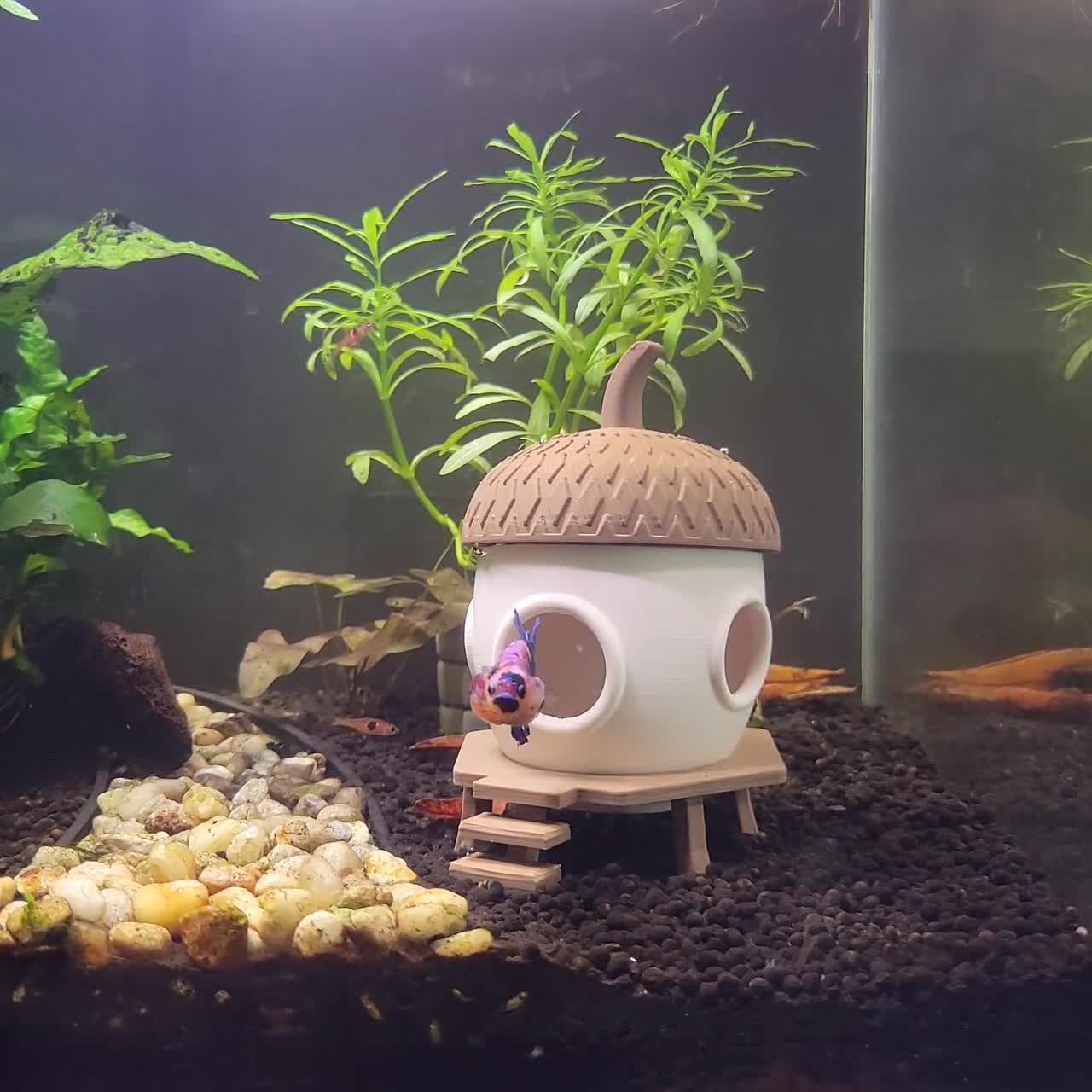 Marine Fish Tank Aquarium Ornament Kunstmatige Hars Huis Verbergen Boeddha standbeeld Cave Decor