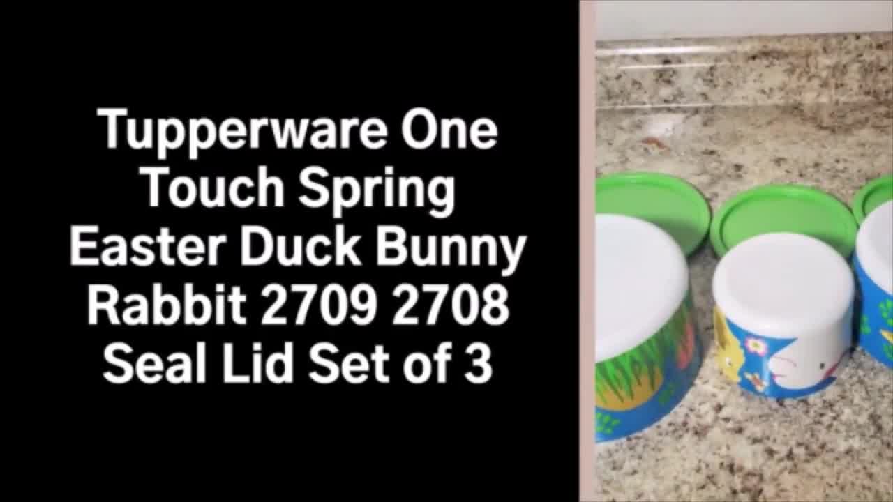 https://v.etsystatic.com/video/upload/q_auto/tupperware_bt1drk.jpg