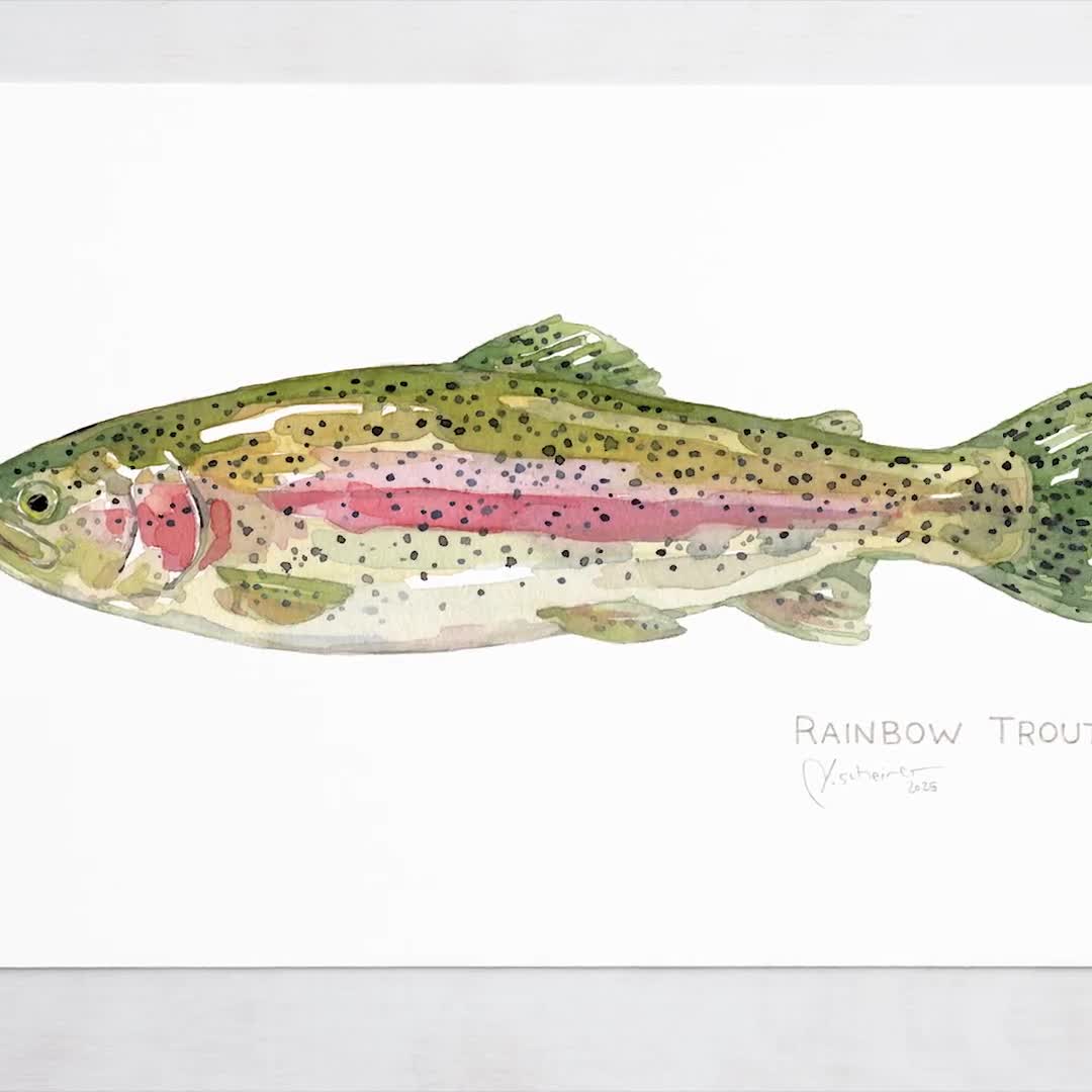 水彩画(虹ます)№135 公式通販 ⁄ 水彩画 Watercolor 25,600点を超える虹