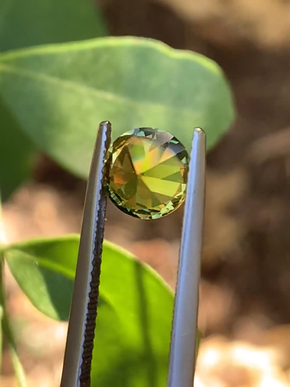 Saphir Jaune-vert Naturel D'Australie 6.7x4.8mm 0.87ct – Diffusion Be