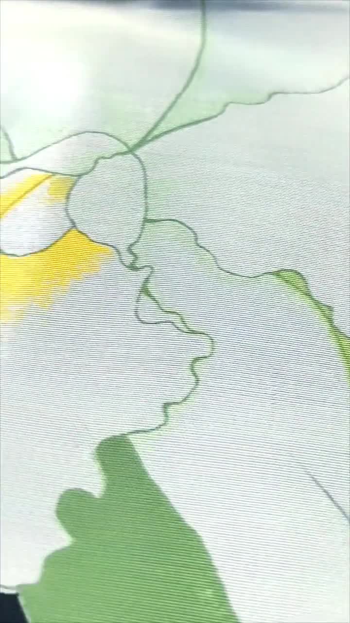 Pañuelo de seda vintage de Jim Thompson con diseño botánico y orquídeas, 16,5 x 15,5 pulgadas video poster