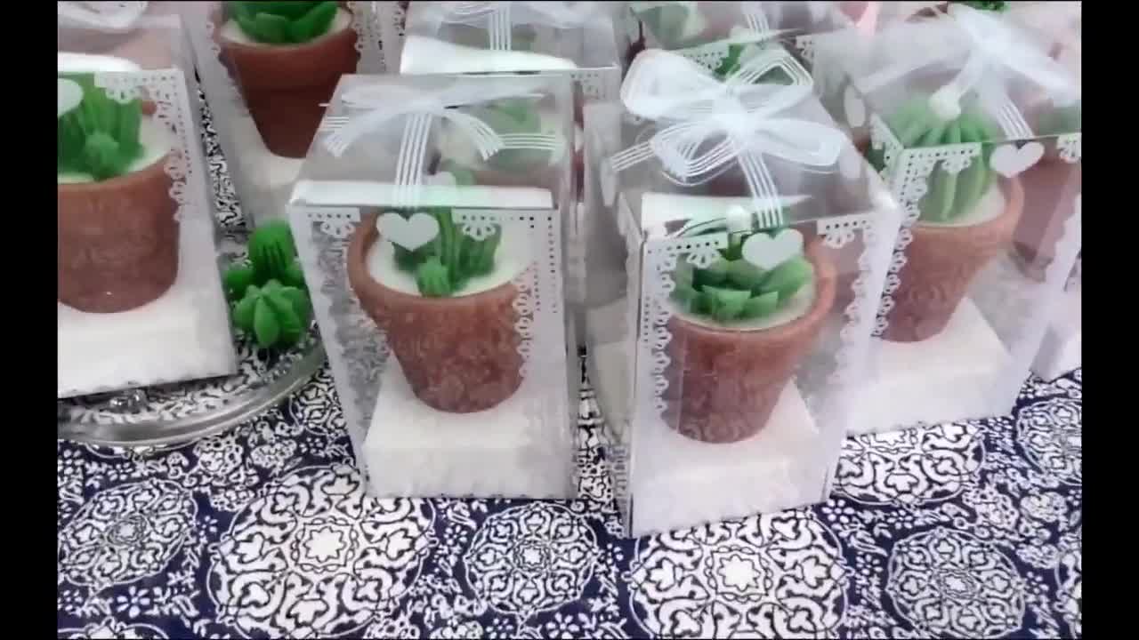 Candele profumate succulente bomboniere candele regali per gli ospiti  candele di Cactus Tealight di cera di soia decorazioni per la casa per  Fressia di nozze - AliExpress