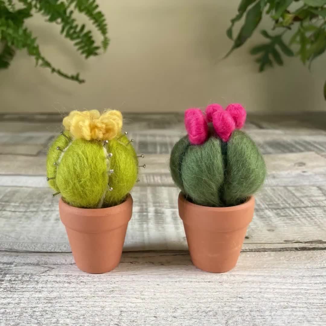 4 Pcs Needle Felting Kit For Beginners Cute Cactus Wool Felted Set