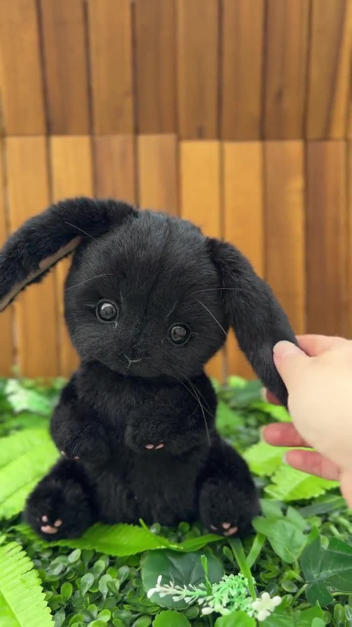 アーティストテディバニーぬいぐるみ：黒のコレクター向けぬいぐるみ