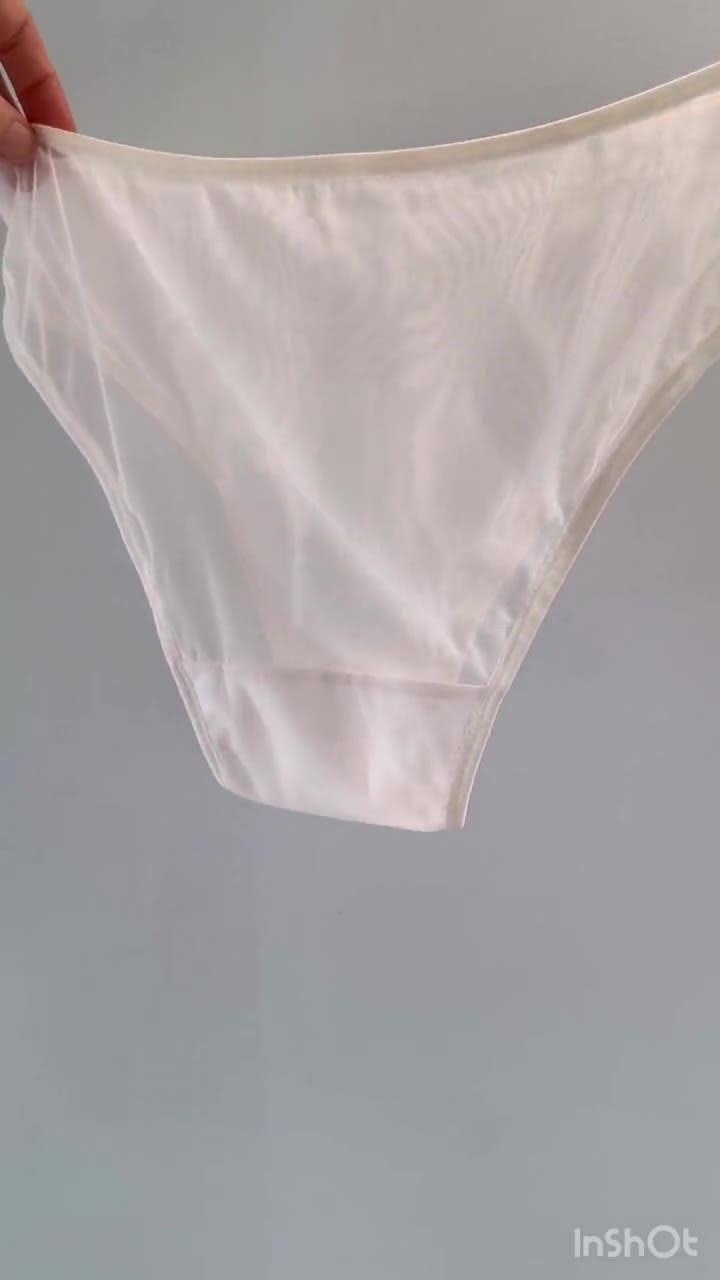 See through mesh bikini panties with edging, low rise