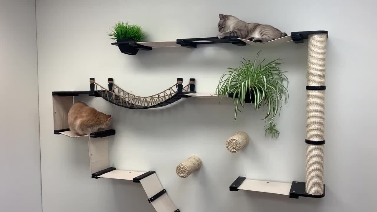 Cat wall furniture - Juggernaut Cat Condo, Cat Bed, Cat Shelves, Cat  Bridge, Cat Hammocks, Cat Scratching Posts, Cat Tree, Cat Tower