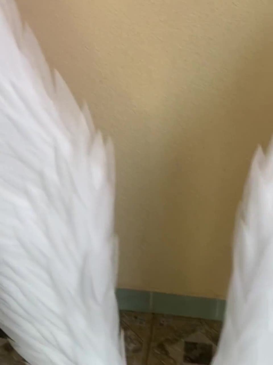 Angel Wings Cosplay Cupid Wings, White Wings, Moveable Large Wings