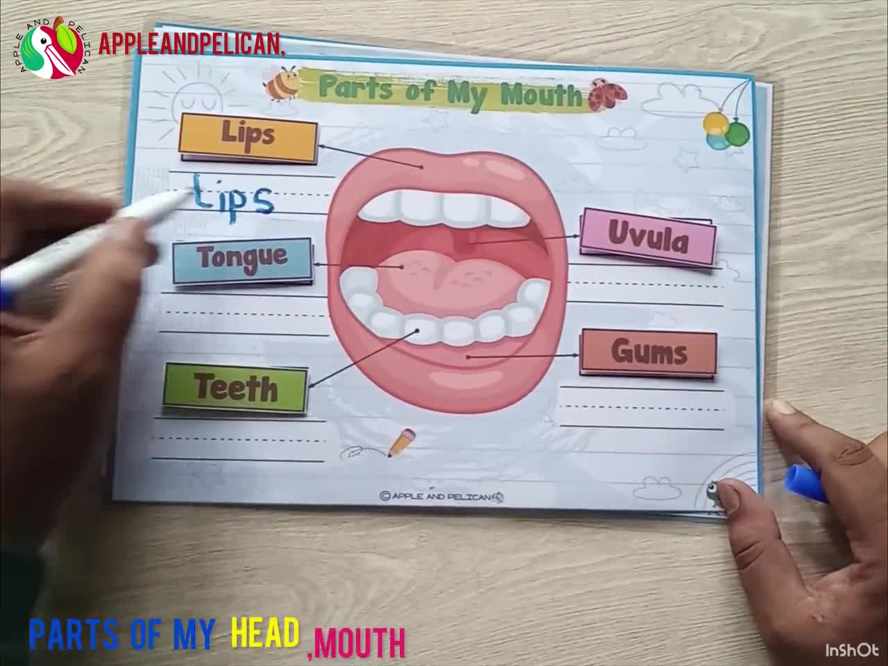 Girl Part of Face Activity Learning Binder, Printable Preschool