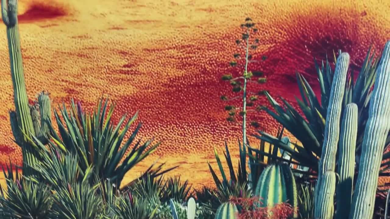  Papel pintado hermoso atardecer del desierto roca roja mirando  sobre el desierto de Arizona, papel tapiz autoadhesivo removible mural de  pared, adhesivo adhesivo para decoración de pared para sala de estar