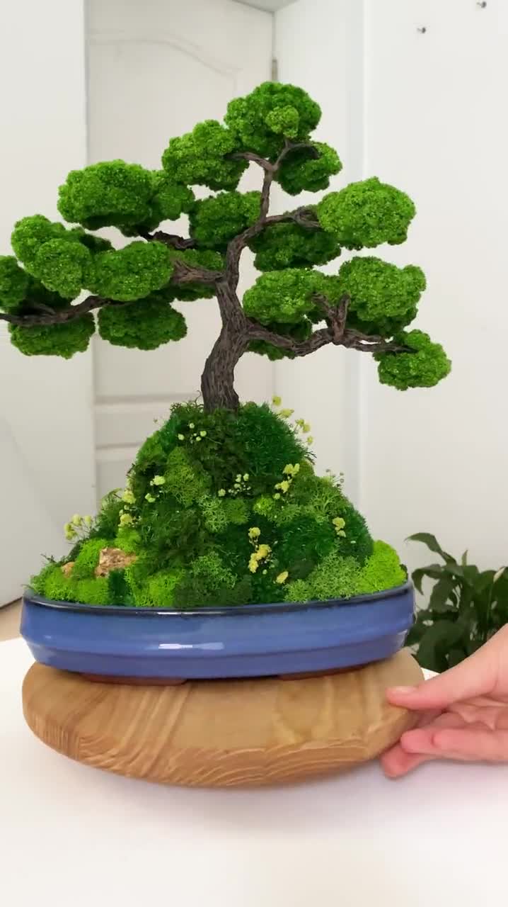 【Umizon】MOSSboard Qteppeihirota UFP-Edge 1 in. x 6 in. x 8 ft. Premium Primed Finger-Jointed