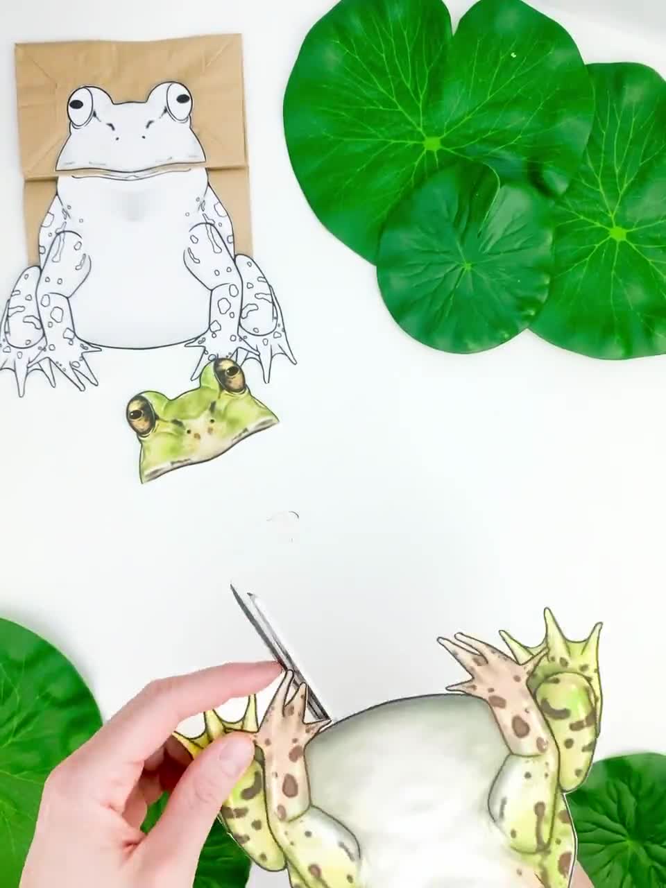 印刷可能な関節式カエル人形クラフトテンプレートキット | DIY関節式森