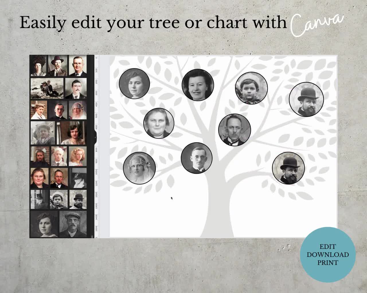 Family Tree Photo Collage ~ Digital Download ~ Edit in Canva ~ Ancestor  Portaits & Names ~ ORO