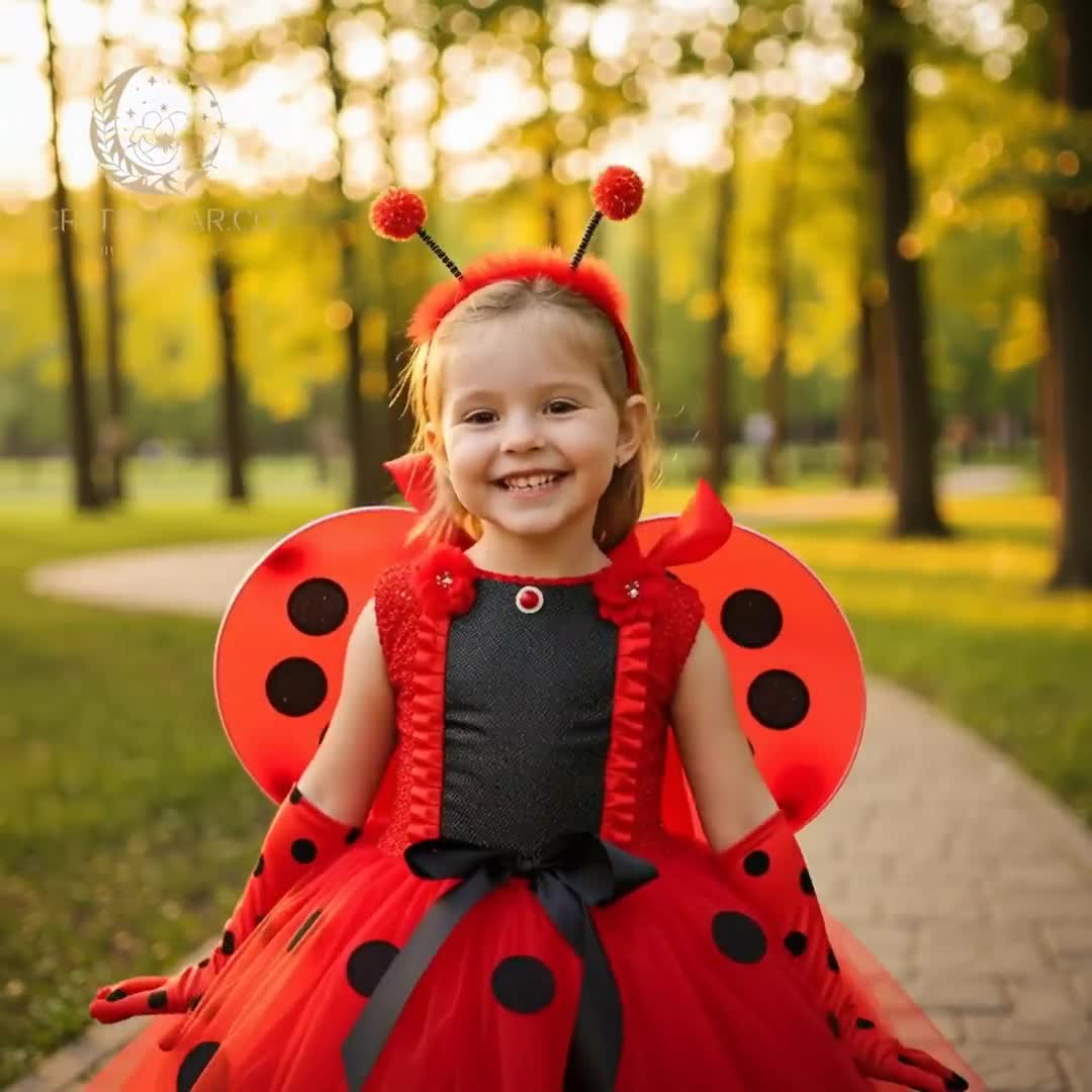 ladybug dress Ladybug Girl Dress