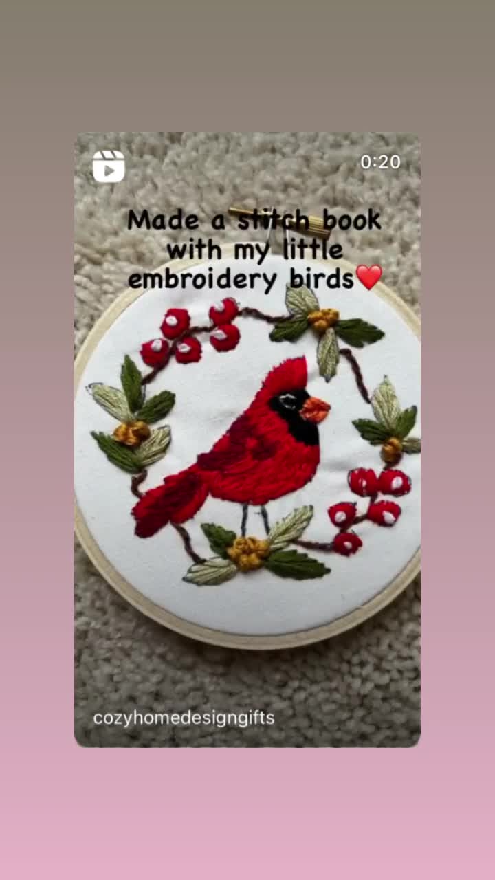 Stick and Stitch Embroidery Patterns / Backyard Birds / Water Soluble  Designs / Instructions Included 