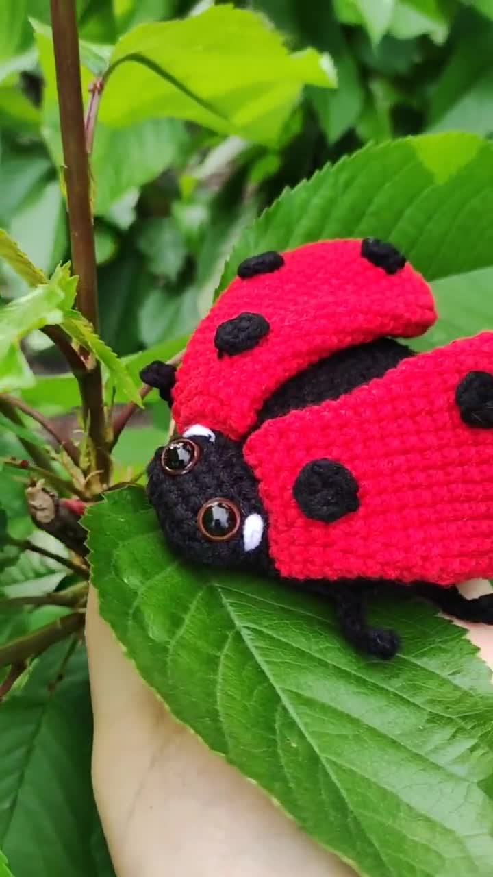 Levi the Ladybug Knotted Lovey Pattern Lovebug Snuggler Crochet Pattern  Only Amigurumi Ladybug Pattern 