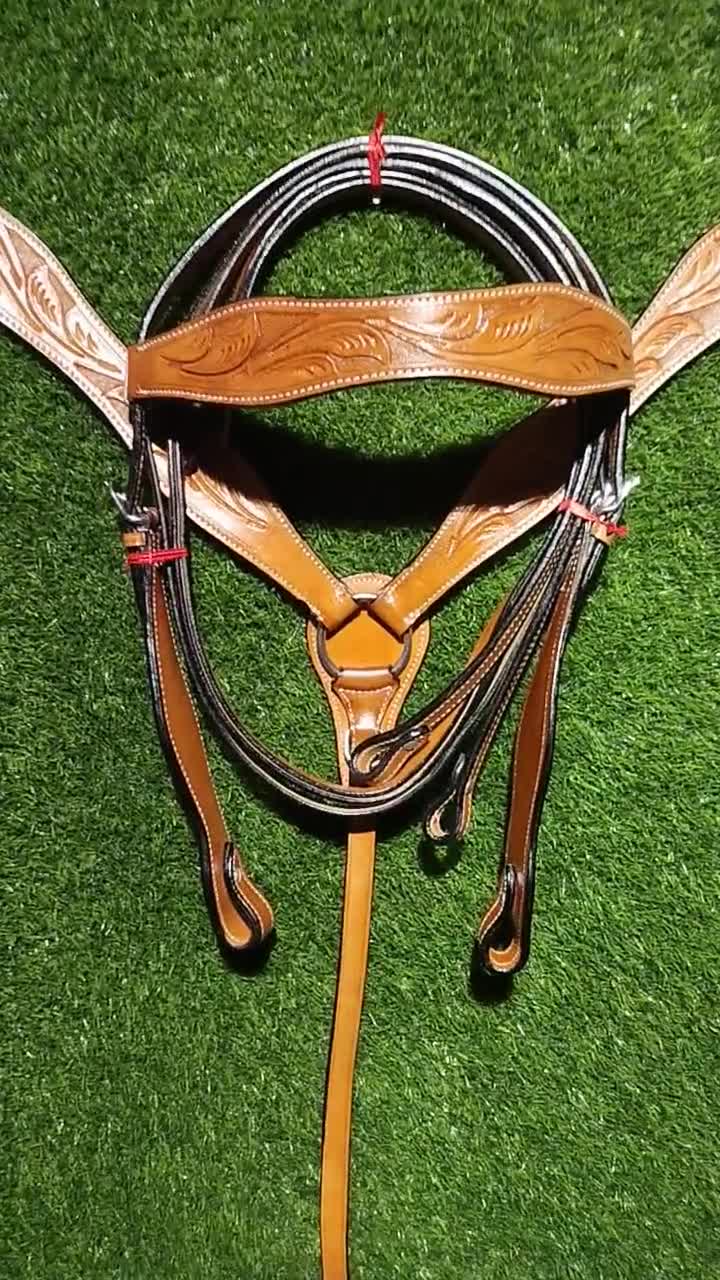 Ensemble western cuir noir en cuir noir tête et collier