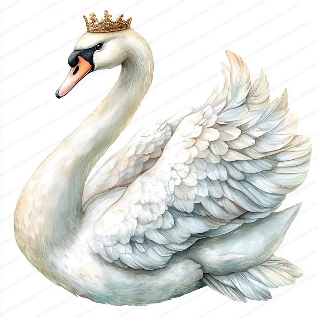 20 王冠をつけた白鳥のクリップアート | 王室の鳥のイラストデザイン