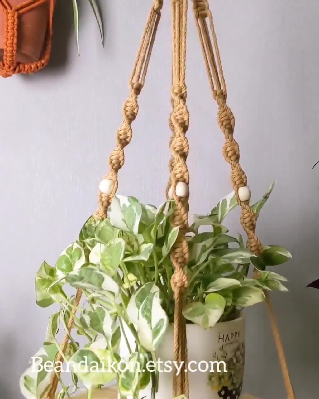 Plant Hanger Kit Hanging Plant Pot Holders For Indoor And - Temu