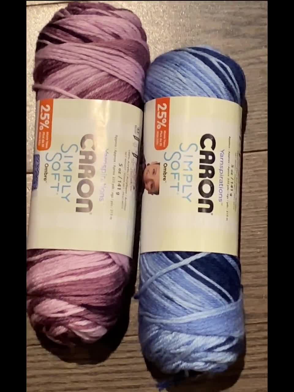 Caron Simply Soft Ombre Yarn