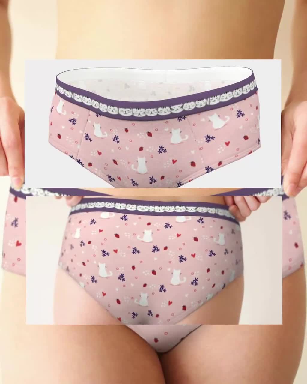 Happy Valentine's Day Hip Hugger Retro Hipster Lingerie Panties, XS-XL  Sizes Womens Underwear, Sexy Cute Kawaii Funny Panties 