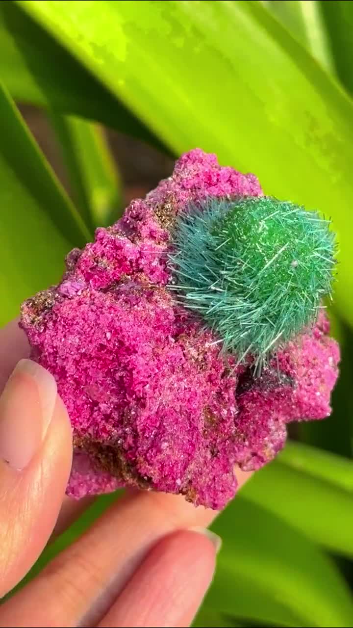 国産鉱物（極美）hi-ka-ruru様3点 Amazon.com: Fantasia Materials: 3 lbs Ruby in Quartz Rough